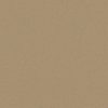 SHAW FLOORS RETAIL: DIVIDING LINE 12 - Image 19
