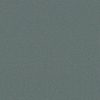 SHAW FLOORS RETAIL: DIVIDING LINE 12 - Image 2