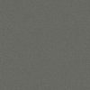 SHAW FLOORS RETAIL: DIVIDING LINE 12 - Image 7