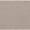 SHAW FLOORS RETAIL: LIVE ON COMFORT - Image 8
