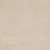 SHAW FLOORS RETAIL: CASHMERE III