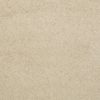 SHAW FLOORS RETAIL: CASHMERE III - Image 2