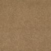 SHAW FLOORS RETAIL: CASHMERE III - Image 6