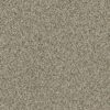 SHAW FLOORS RETAIL: ANGORA CLASSIC I