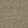 SHAW FLOORS RETAIL: ANGORA CLASSIC I - Image 9