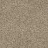 SHAW FLOORS RETAIL: BECAUSE WE CAN II 15 - Image 4