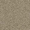 SHAW FLOORS RETAIL: BECAUSE WE CAN II 15 - Image 15