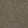 SHAW FLOORS RETAIL: BECAUSE WE CAN II 15