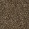 SHAW FLOORS RETAIL: BECAUSE WE CAN II 15 - Image 8
