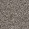 SHAW FLOORS RETAIL: BECAUSE WE CAN II 15 - Image 6