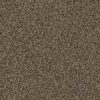 SHAW FLOORS RETAIL: BECAUSE WE CAN II 15 - Image 7