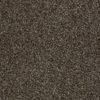 SHAW FLOORS RETAIL: BECAUSE WE CAN II 15 - Image 14