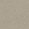 SHAW FLOORS RETAIL: ORIGINS II - Image 21