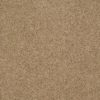 SHAW FLOORS RETAIL: ORIGINS II - Image 22