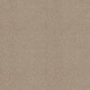 SHAW FLOORS RETAIL: ALWAYS READY I - Image 14