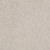 SHAW FLOORS RETAIL: ALWAYS READY I - Image 6