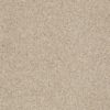 SHAW FLOORS RETAIL: ALWAYS READY I - Image 17