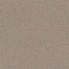 SHAW FLOORS RETAIL: ALWAYS READY I - Image 3