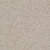 SHAW FLOORS RETAIL: ALWAYS READY I - Image 9