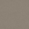 SHAW FLOORS RETAIL: ALWAYS READY I - Image 11
