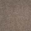 SHAW FLOORS RETAIL: ALWAYS READY I - Image 13