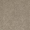 SHAW FLOORS RETAIL: ALWAYS READY I - Image 4