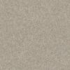 SHAW FLOORS RETAIL: MOMENTUM I - Image 6