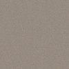 SHAW FLOORS RETAIL: MOMENTUM I - Image 4