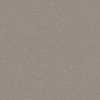 SHAW FLOORS RETAIL: MOMENTUM I - Image 7