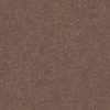 SHAW FLOORS RETAIL: MOMENTUM I - Image 3