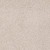 SHAW FLOORS RETAIL: SHINGLE CREEK IV 15' - Image 27