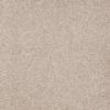 SHAW FLOORS RETAIL: SHINGLE CREEK IV 15'