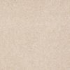 SHAW FLOORS RETAIL: SHINGLE CREEK IV 15' - Image 10