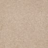 SHAW FLOORS RETAIL: SHINGLE CREEK IV 15' - Image 33