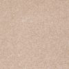 SHAW FLOORS RETAIL: SHINGLE CREEK IV 15' - Image 2