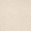 SHAW FLOORS RETAIL: SHINGLE CREEK IV 15' - Image 21