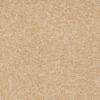 SHAW FLOORS RETAIL: SHINGLE CREEK IV 15' - Image 15