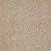 SHAW FLOORS RETAIL: SHINGLE CREEK IV 15' - Image 16