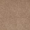 SHAW FLOORS RETAIL: SHINGLE CREEK IV 15' - Image 3