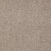 SHAW FLOORS RETAIL: SHINGLE CREEK IV 15' - Image 4