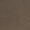 SHAW FLOORS RETAIL: SHINGLE CREEK IV 15' - Image 30