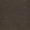 SHAW FLOORS RETAIL: SHINGLE CREEK IV 15' - Image 11