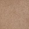 SHAW FLOORS RETAIL: SHINGLE CREEK IV 15' - Image 7