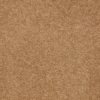 SHAW FLOORS RETAIL: SHINGLE CREEK IV 15' - Image 8