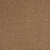 SHAW FLOORS RETAIL: SHINGLE CREEK IV 15' - Image 26