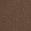 SHAW FLOORS RETAIL: SHINGLE CREEK IV 15' - Image 9