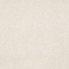 SHAW FLOORS RETAIL: SANDY HOLLOW III 15'