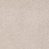 SHAW FLOORS RETAIL: SANDY HOLLOW III 15' - Image 28
