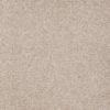 SHAW FLOORS RETAIL: SANDY HOLLOW III 15' - Image 12
