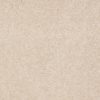 SHAW FLOORS RETAIL: SANDY HOLLOW III 15' - Image 13